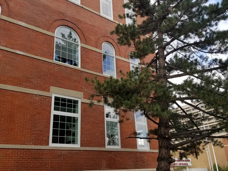 Denver Health - View 13